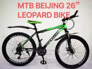 Sports Bike Size