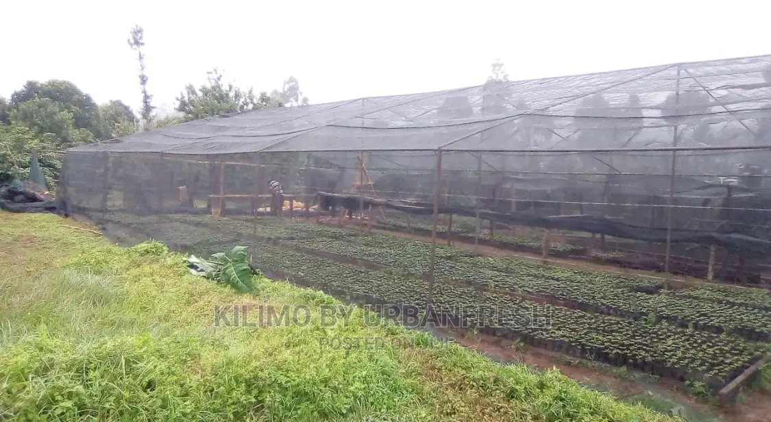 Shade Net 200sqm Roll: 30% / 55% / 75% / 90%.