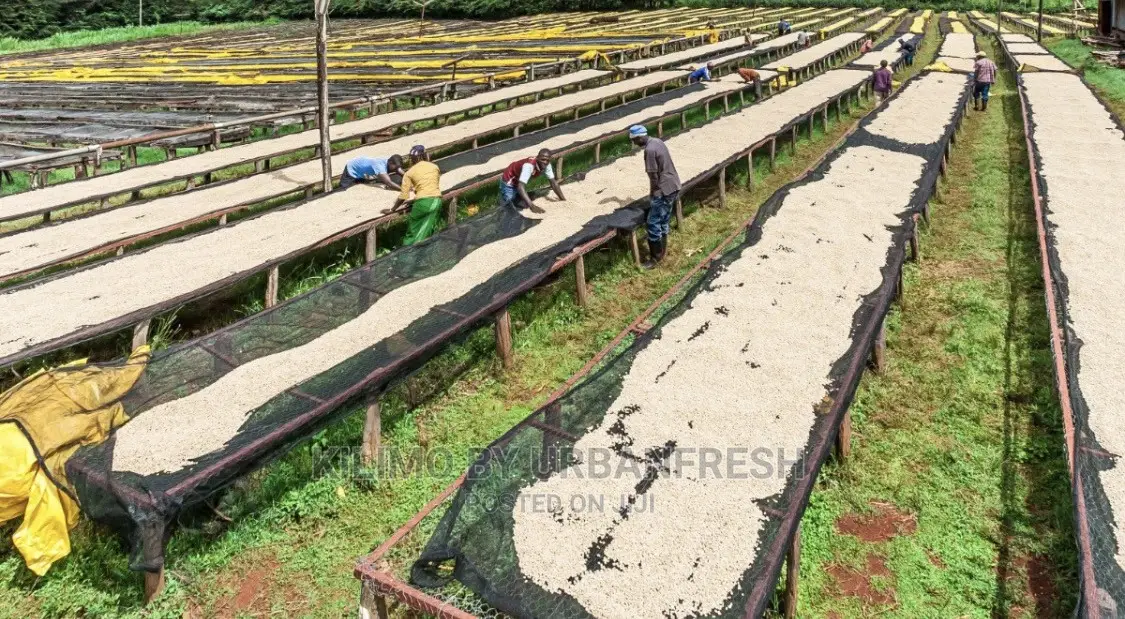 Shade Net 200sqm Roll: 30% / 55% / 75% / 90%.