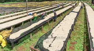 Shade Net 200sqm Roll: 30% / 55% / 75% / 90%.