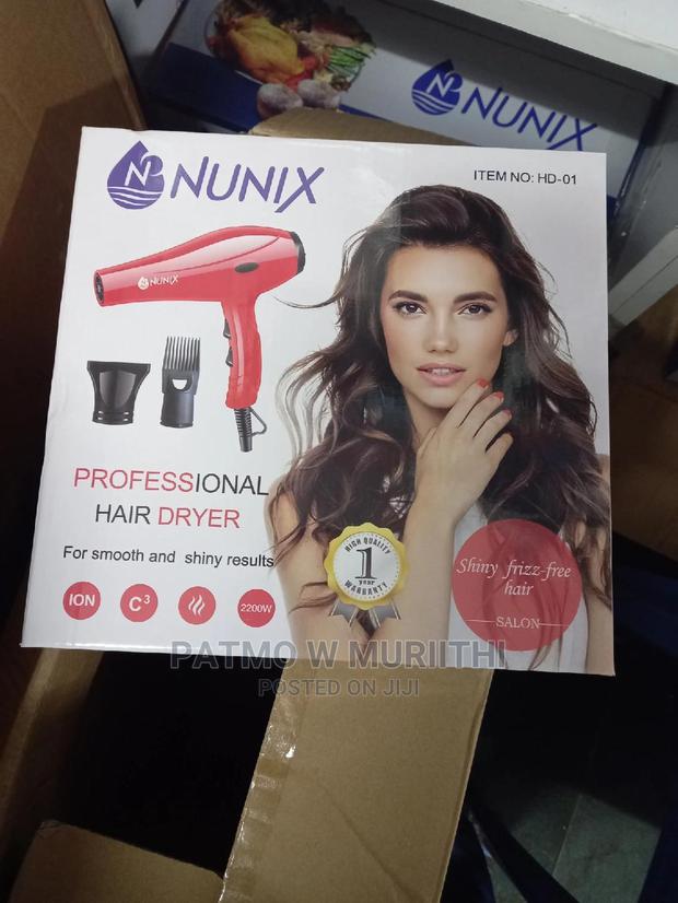 Professional Hair Dryer