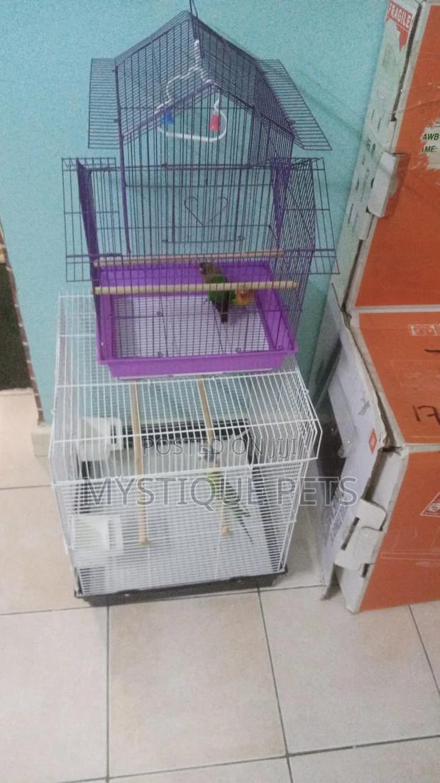 Small Cages - thumbnail 3