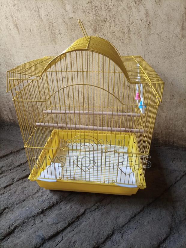 Small Cages - main view