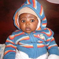 lavic solutions logo