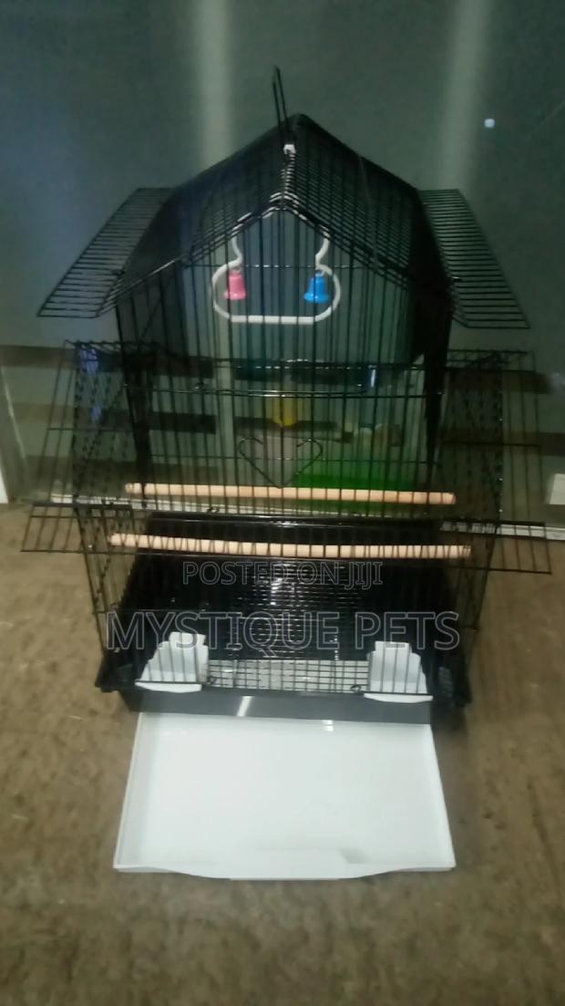 Cages for Birds - main view