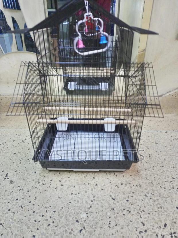 Cages for Birds - thumbnail 3
