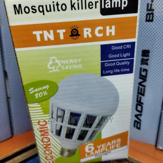 Mosquito Bulbs - main view