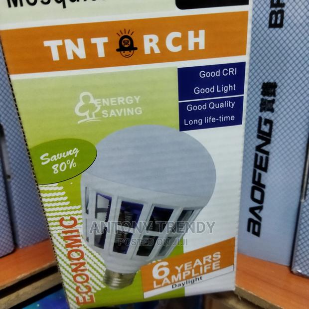 Mosquito Bulbs - thumbnail 2