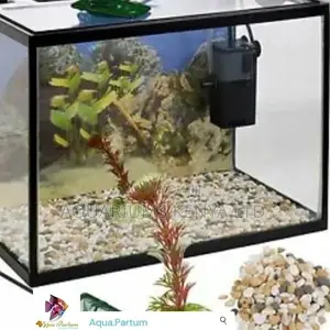 Aquarium, Custom Aquarium,Small Aquarium,Simple Aquarium