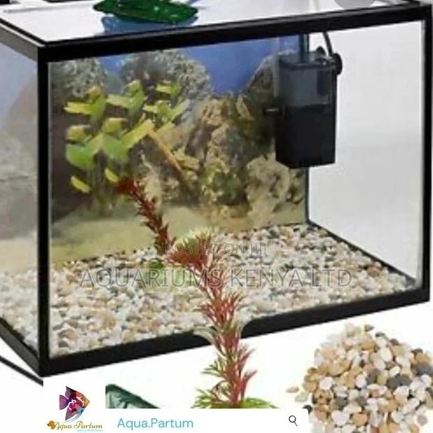 Aquarium, Custom Aquarium,Small Aquarium,Simple Aquarium