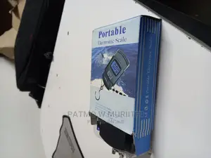 Portable Electronic Scale 50kg