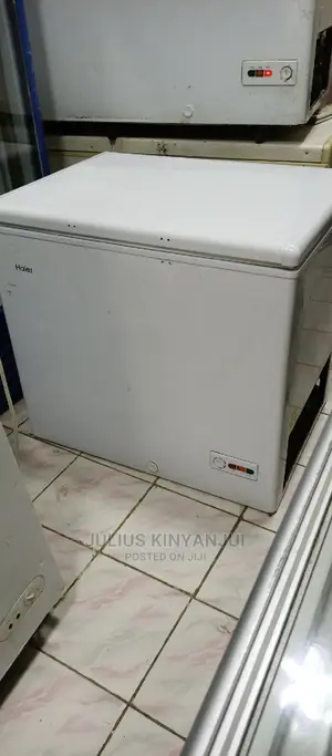 Deep Freezer 300L