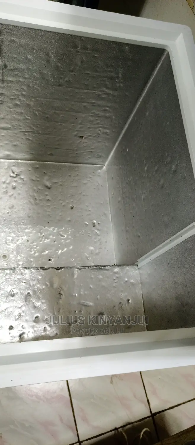 Deep Freezer 300L