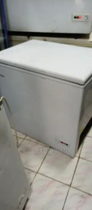Deep Freezer 300L
