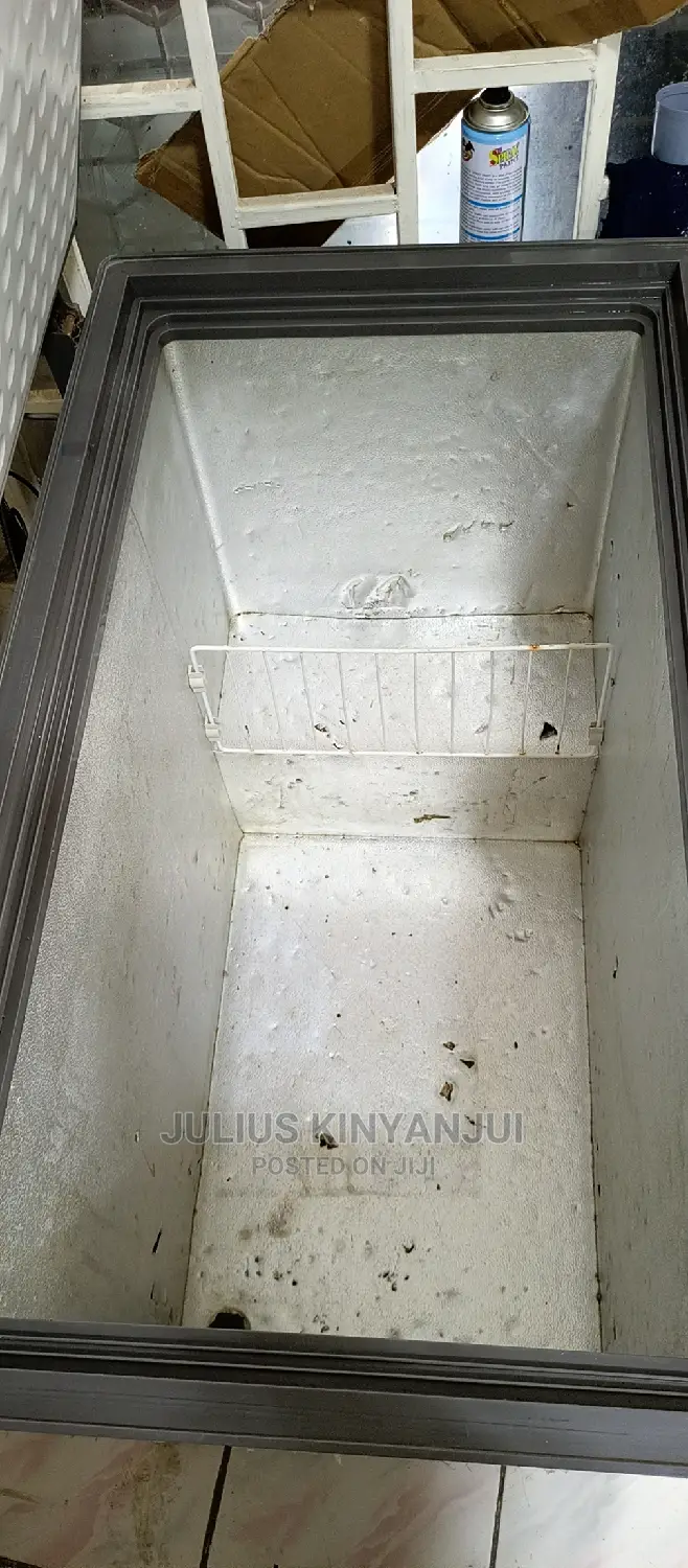 300L Deep Freezer
