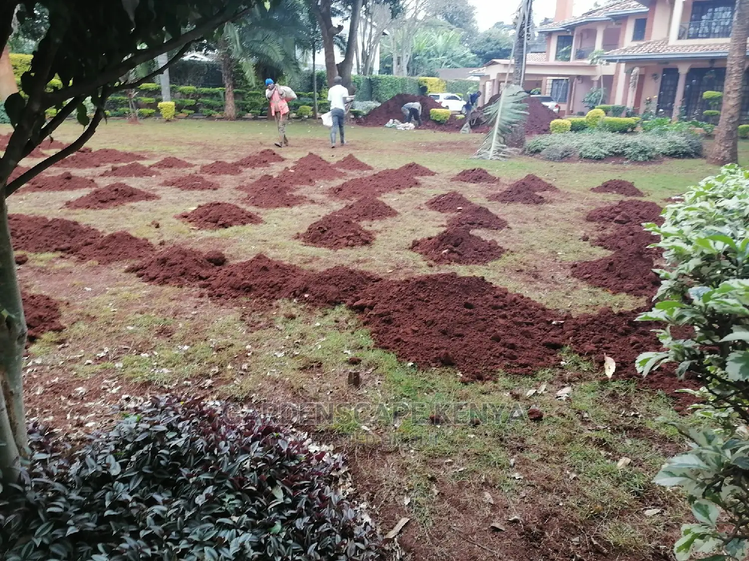 Lawn Top Dressing.
