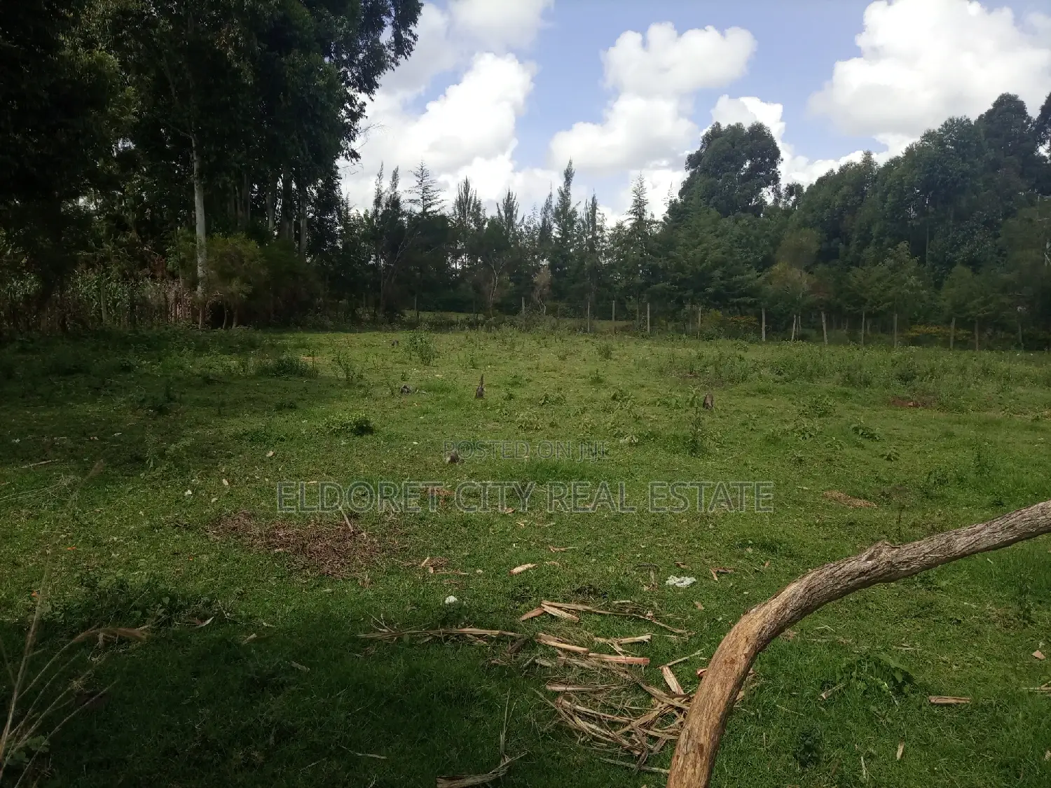 1/4 Plot Annex Pazuri With Title
