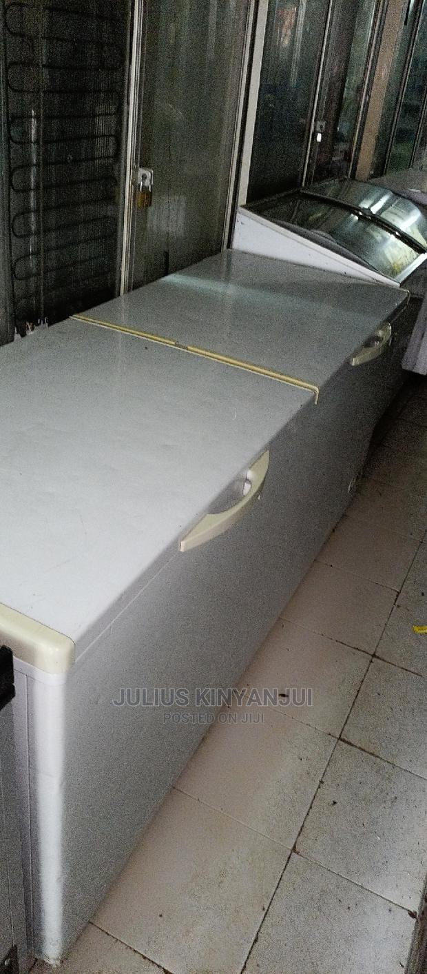 Double Door Freezer