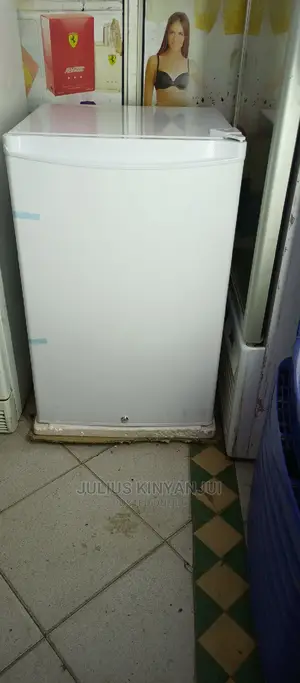 Mini Upright Freezer