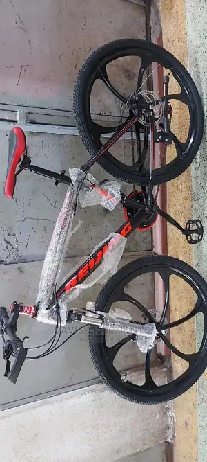 Sports Bike With Alloy Rims and Disc Brake System