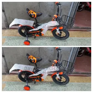 Bike Size 12