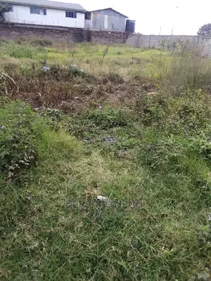 Plot Fof Sale in Wanye Road