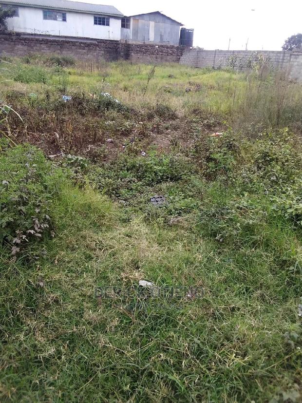 Plot Fof Sale in Wanye Road - thumbnail 6