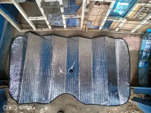 Car Sunnyshade