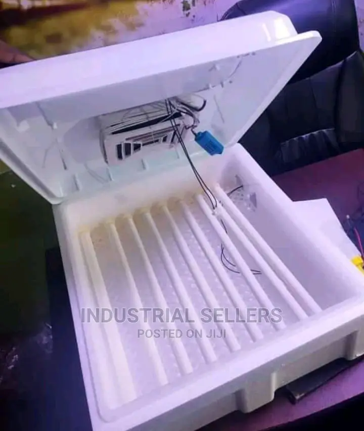 Branded 56 Eggs Incubator