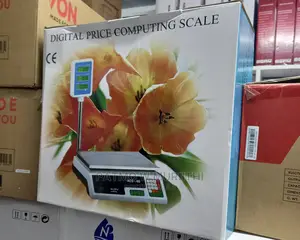 Price Computing Scale