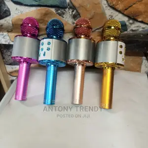 Karaoke Microphone