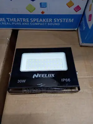 Neelux 30W Flood Light