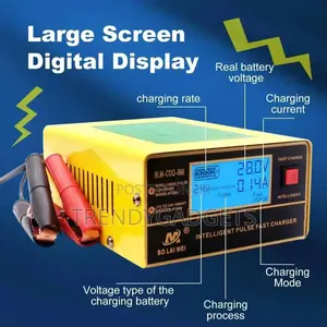 Intelligent 168 Battery Charger