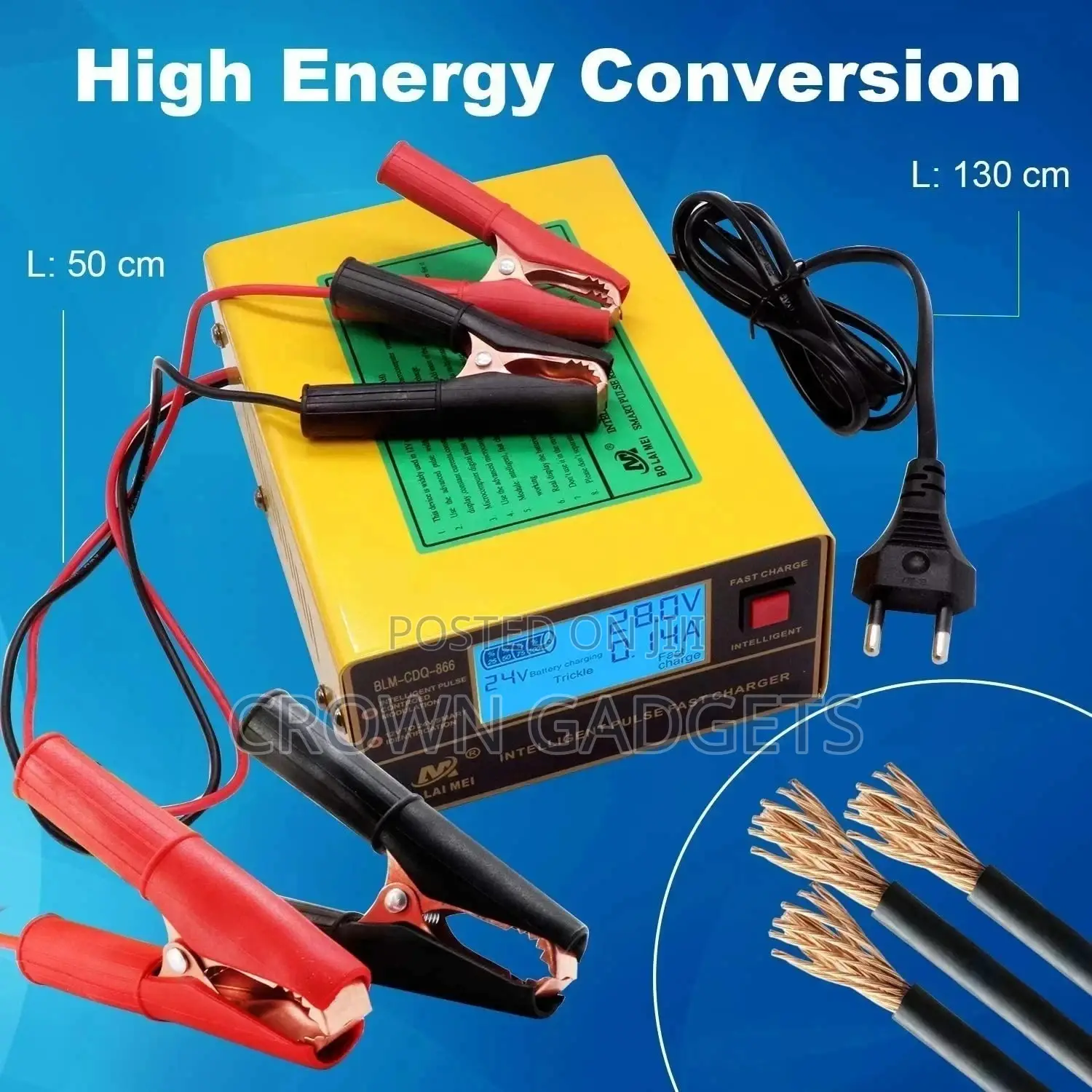 Smart Battery Charger BLM 168 for Cars