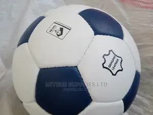 Leather Football Size 5 White/Blue
