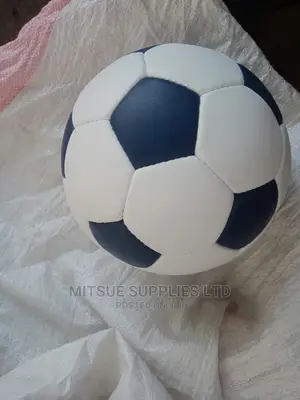 Leather Football Size 5 White/Blue