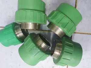 Ppr Adaptors 63mm