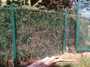 High Security Anti-Climb Mesh Fencing