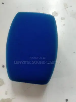 Studio Sponge Mic