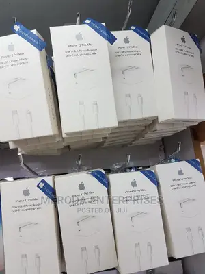 Original iPhone Chargers