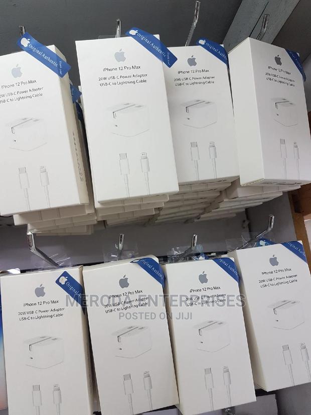 Original iPhone Chargers - main view