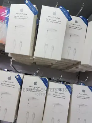 Original iPhone Chargers