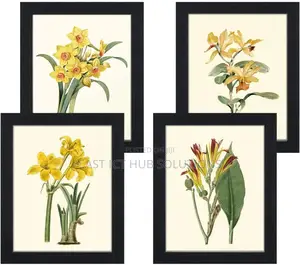BOX Frames With Depth A3 Size to Fit Flowers and Gifts