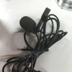 Smallest Lapel Microphone