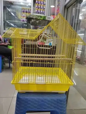 Budgies Cages