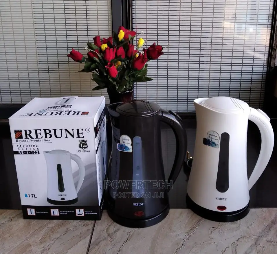Rebune Electric Kettle