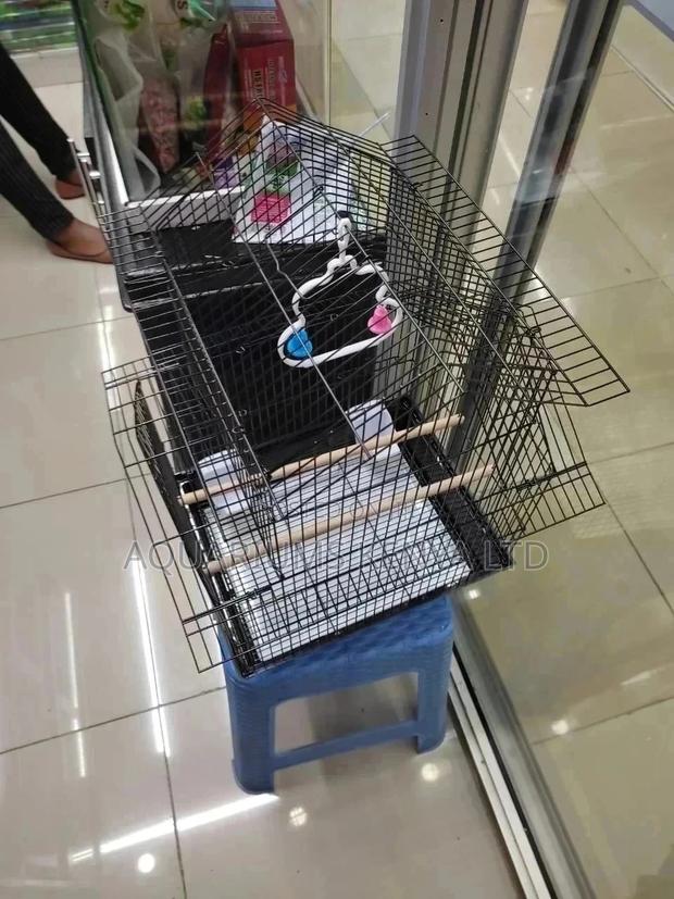 Bird Cage, Budgies Cage - main view
