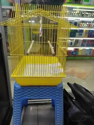 Yellow Budgies Cage, Bird Cages, Dove Cage