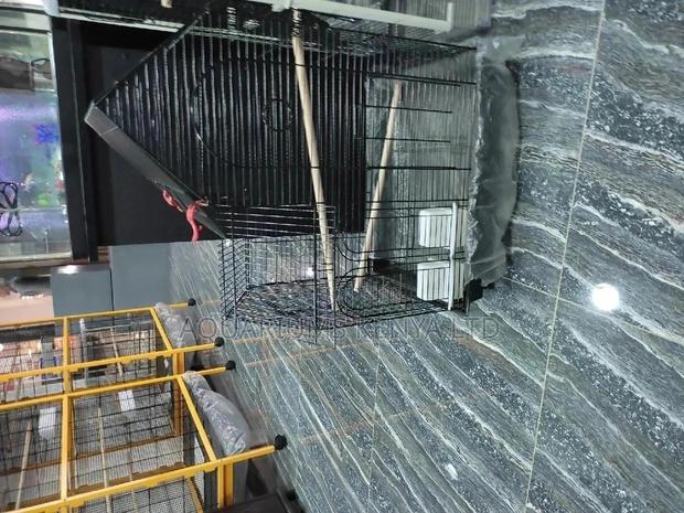 Cage for Birds, Bird Cages - main view