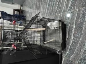 Bird Cages,Cages of Quality - thumbnail 2